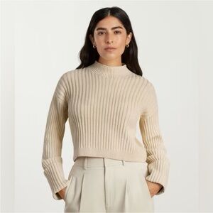Everlane Cotton Ribbed Rollneck Sweater
